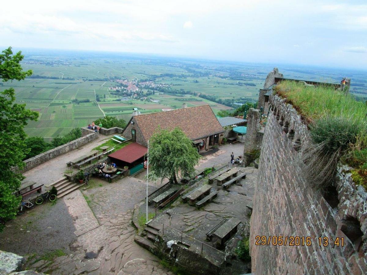 Phoenix Aus Der Asche Rhodt unter Rietburg Luaran gambar