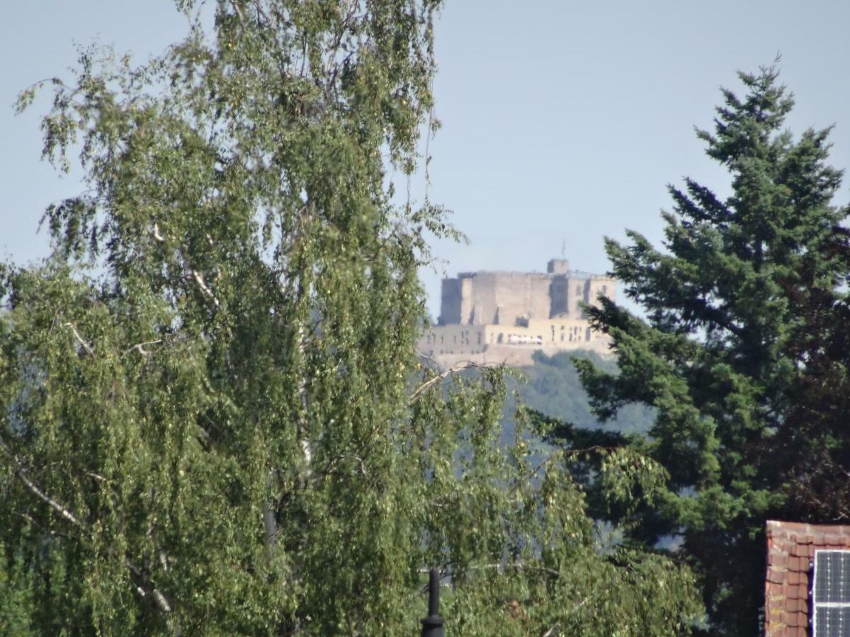 Phoenix Aus Der Asche Rhodt unter Rietburg Luaran gambar