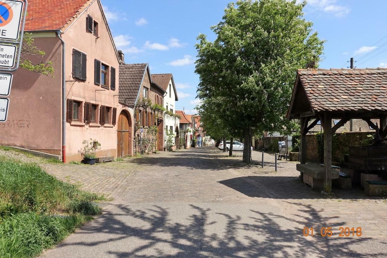 Phoenix Aus Der Asche Rhodt unter Rietburg Luaran gambar